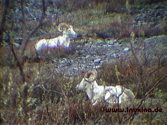 photo9.jpg